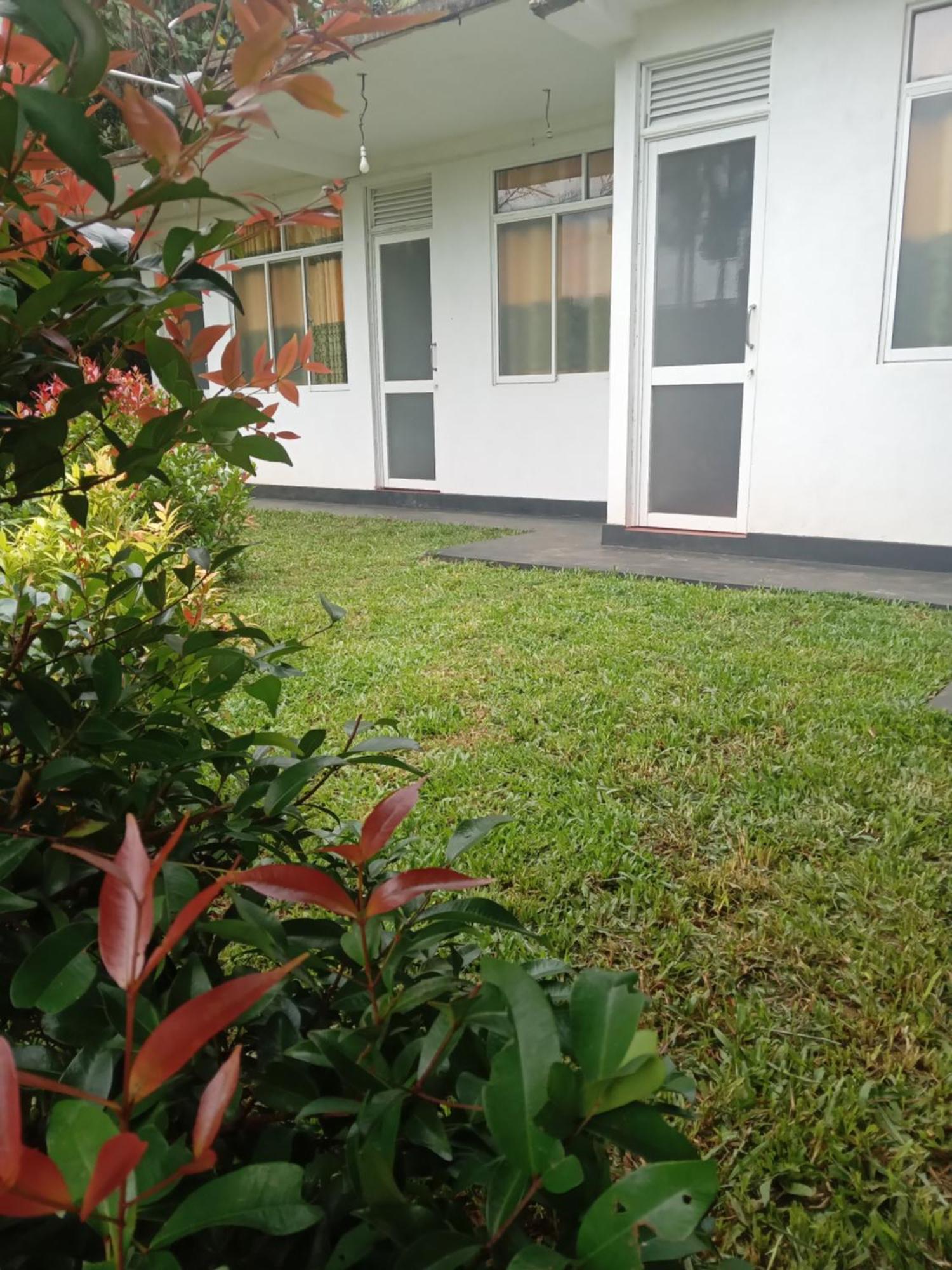 Rainforest Holiday Inn Deniyaya Exterior photo