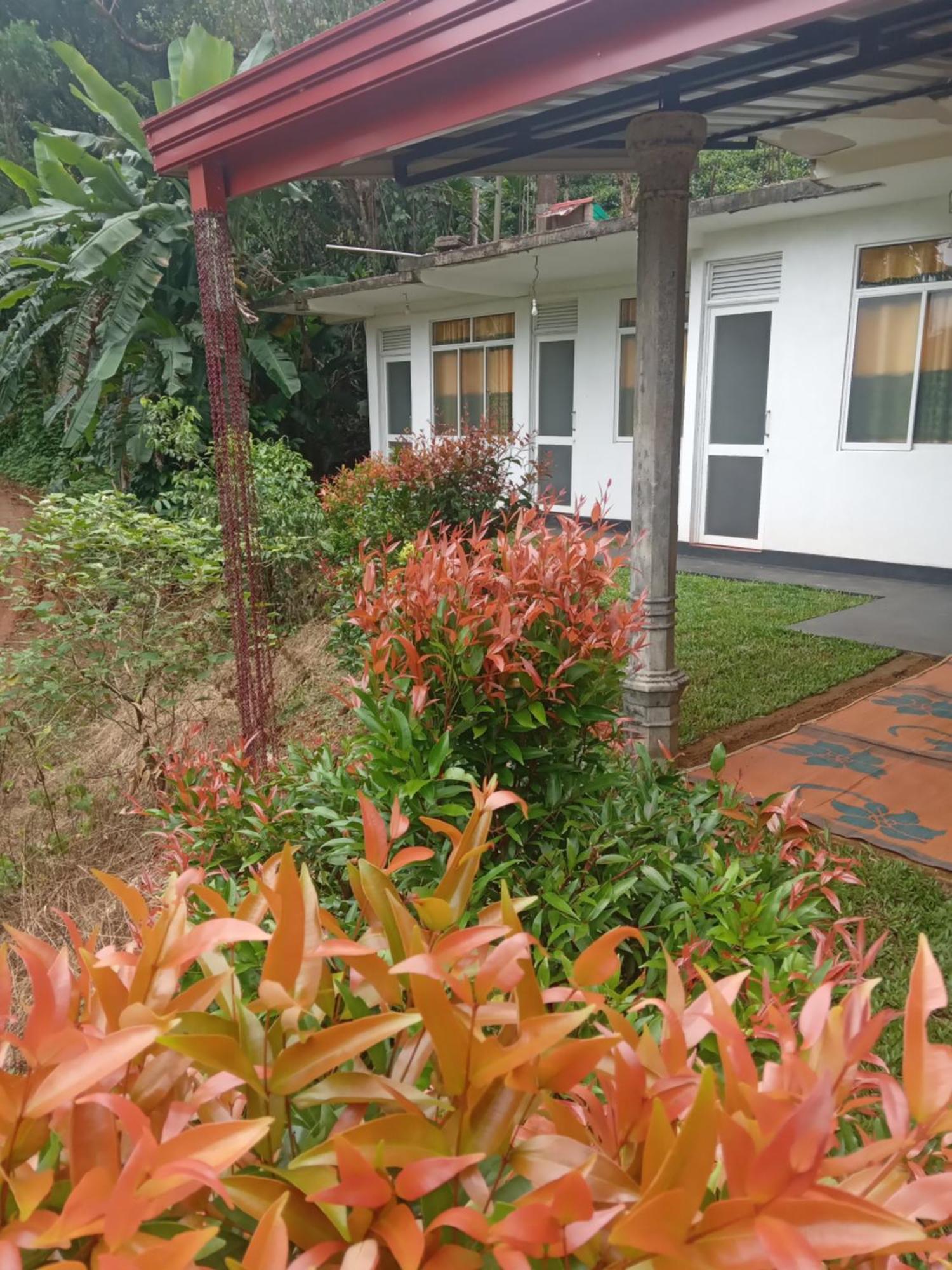 Rainforest Holiday Inn Deniyaya Exterior photo