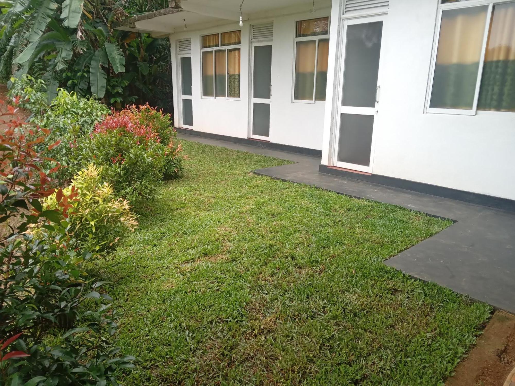 Rainforest Holiday Inn Deniyaya Exterior photo