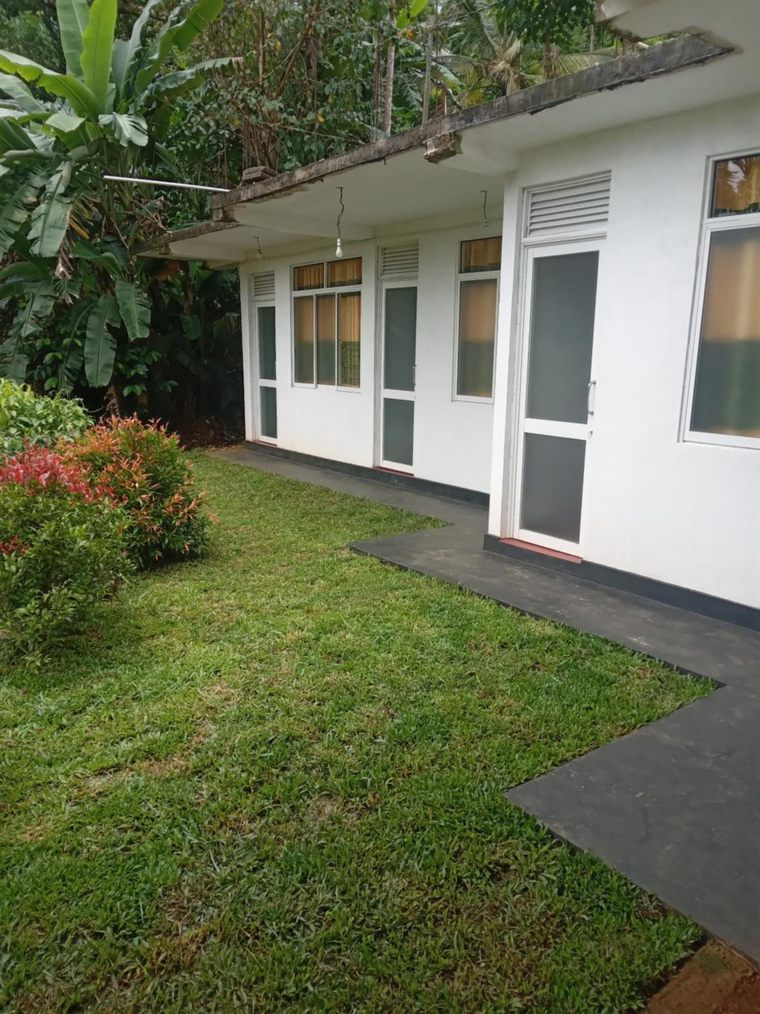 Rainforest Holiday Inn Deniyaya Exterior photo